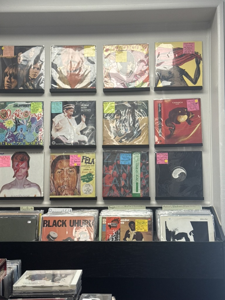 Wall of records spanning punk, Brazilian music, Bowie, and Fela Kuti
